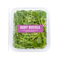 Baby Rucola