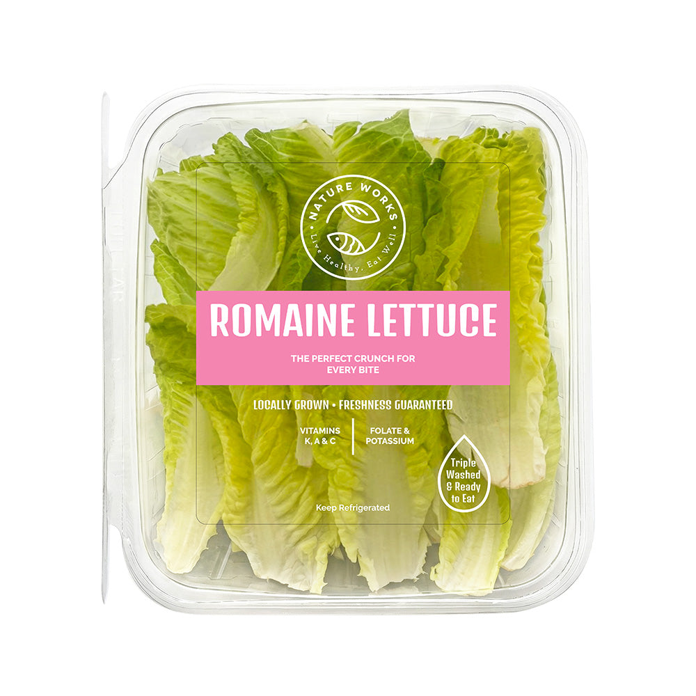 Romaine Lettuce