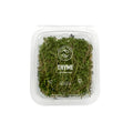 Thyme